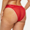 Sexy Lace Core Colours - Image 25