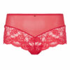 Sexy Lace Core Colours - Image 34