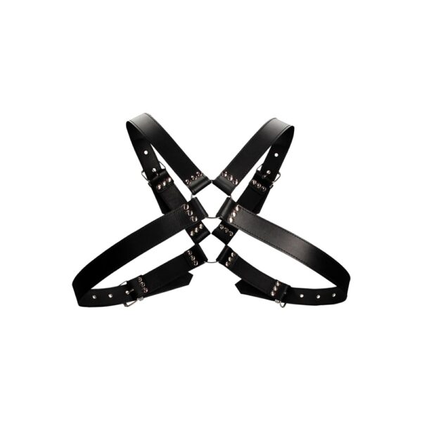 Leather Harness with Large Buckle One Size - Image 6