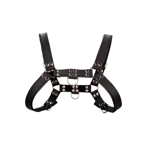 Bulldog Leather Chest Harness - L/XL - Image 4