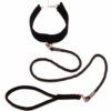 Bellatrix Velvet Collar and Lead - Image 3