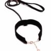 Bellatrix Velvet Collar and Lead - Image 4