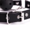 Ball Gag & Nipple Clamps