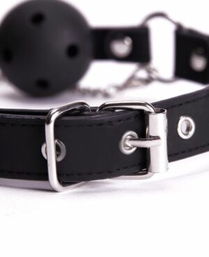 Ball Gag & Nipple Clamps