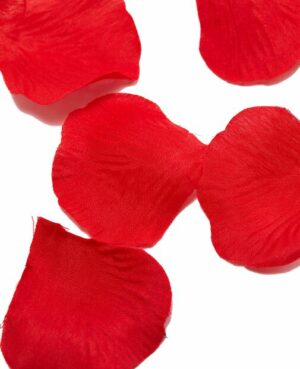 Bed Of Roses Petals