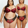 The Hero High Waist Brief - Image 9