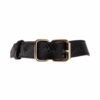 Viper Collar and Lead