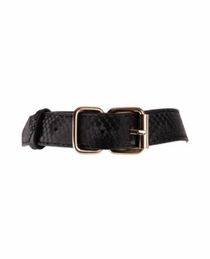 Viper Collar and Lead