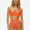 Ambitious Padded Plunge Bra