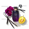 Aphrodisiac Eau De Parfum 100ml - Image 6