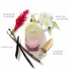 Aurora Gold Eau De Parfum 100ml - Image 5