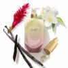 Aurora Gold Eau De Parfum 100ml - Image 2
