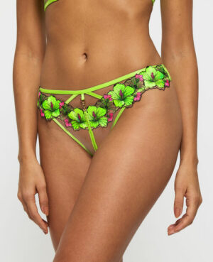Caged Hibiscus Brazilian – Lime