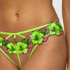 Caged Hibiscus Brazilian - Image 5