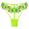 Caged Hibiscus Brazilian - Image 2