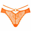 Compelling Brazilian - Image 13