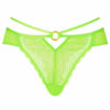 Compelling Brazilian - Image 2