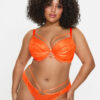 Compelling Padded Plunge Bra - Image 15