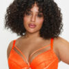 Compelling Padded Plunge Bra - Image 10