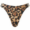 Miami Dreams Bikini Brazilian - Image 8