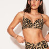 Miami Dreams High Waisted Bikini Bottoms