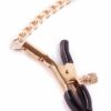 Nipple And Clit Chain - Image 4