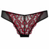 Sexy Lace Brazilian - Image 6