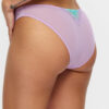 Sexy Lace Brazilian - Image 14