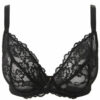 Sexy Lace Fuller Bust Non Padded Plunge Bra - Image 7