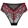 Sexy Lace High Waisted Brazilian - Image 9