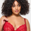 Sexy Lace Fuller Bust Non Padded Plunge Bra - Image 16