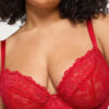 Sexy Lace Fuller Bust Non Padded Plunge Bra - Image 17