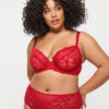 Sexy Lace Fuller Bust Non Padded Plunge Bra - Image 14