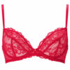 Sexy Lace Non Padded Plunge Bra - Image 17