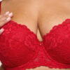 Sexy Lace Padded Balcony Bra - Image 18