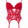 Sexy Lace Padded Basque - Image 13