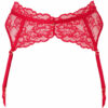 Sexy Lace Suspender Belt - Image 14
