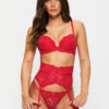 Sexy Lace Waspie - Image 8