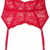Sexy Lace Waspie - Image 9