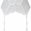 Sexy Lace Waspie - Image 14