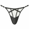 Sheer Desire Thong - Image 7