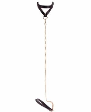 Signature Strappy Collar and Lead