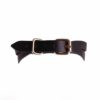 Signature Strappy Collar and Lead - Image 6