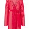 The Promising Robe - Image 2