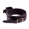 Thigh Wrist Restraint - Image 4