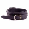 Thigh Wrist Restraint