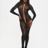 Curiosity Crotchless Bodystocking
