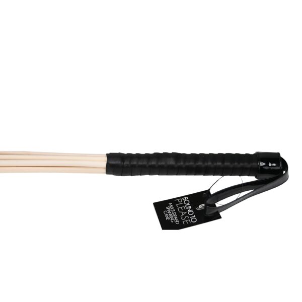 Bound to Please Multi-Strand Spanking Cane - Image 5