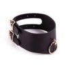 Signature Posture Collar - Image 4