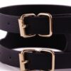 Signature Posture Collar - Image 5